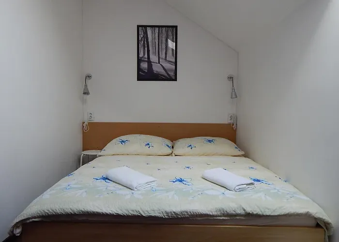 V Hájku 3*